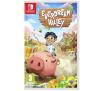 Everdream Valley Gra na Nintendo Switch