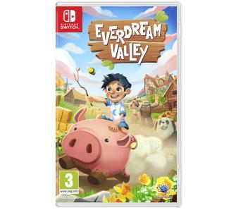 Everdream Valley Gra na Nintendo Switch