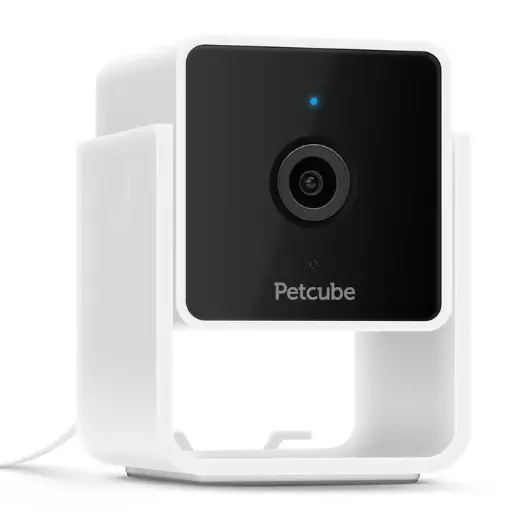 Kamera Petcube Cam