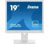 Monitor iiyama ProLite B1980D-W5 19" HD TN 60Hz 5ms