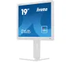 Monitor iiyama ProLite B1980D-W5 19" HD TN 60Hz 5ms