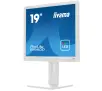 Monitor iiyama ProLite B1980D-W5 19" HD TN 60Hz 5ms