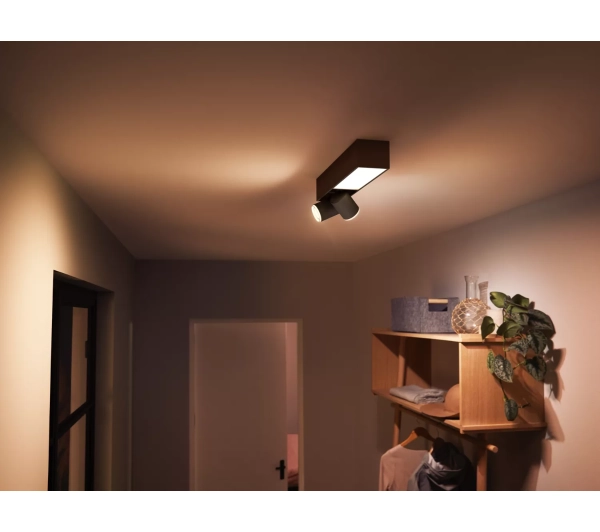 Philips Hue White and Color Ambiance Centris 2 Czarny - Kup na Raty - RRSO 0%