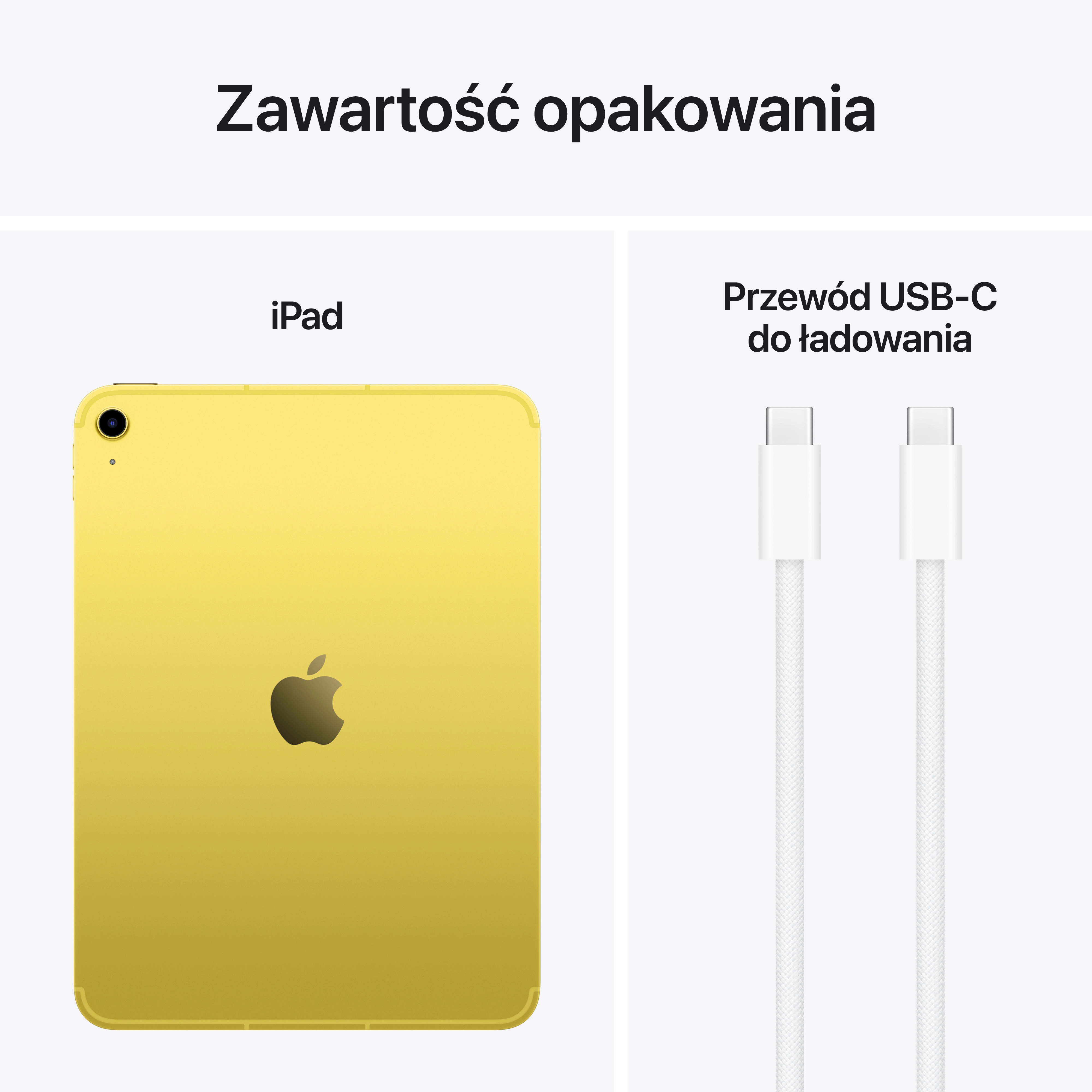 Apple iPad ゴールド Apple iPad 11