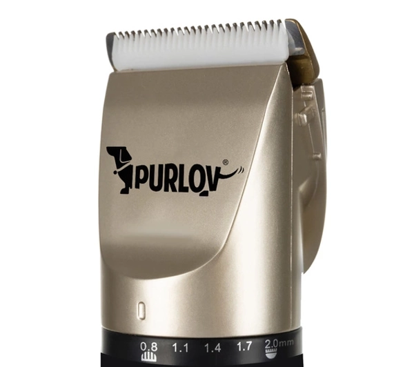 Purlov 24089