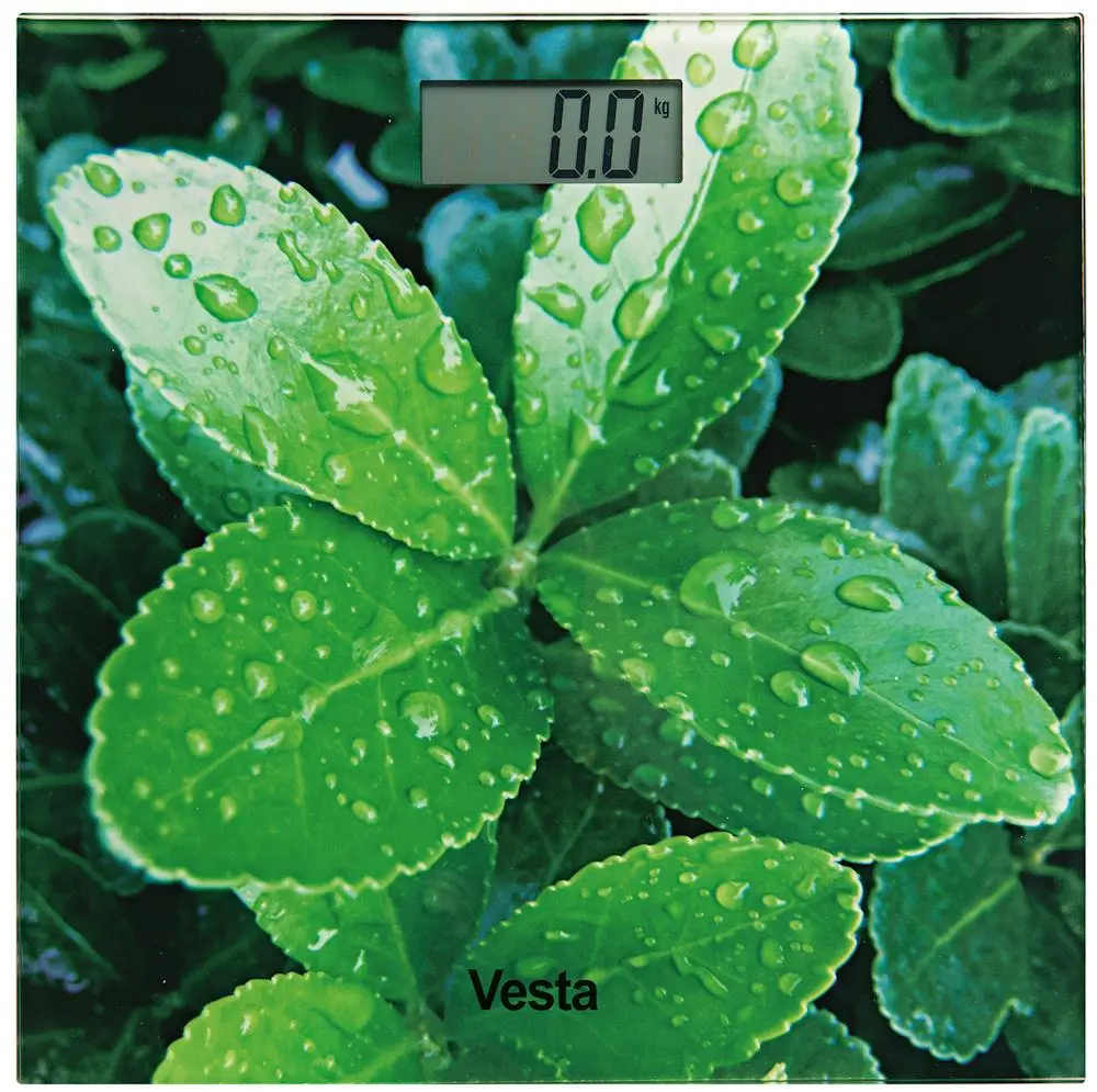 Waga Vesta EBS03 150kg