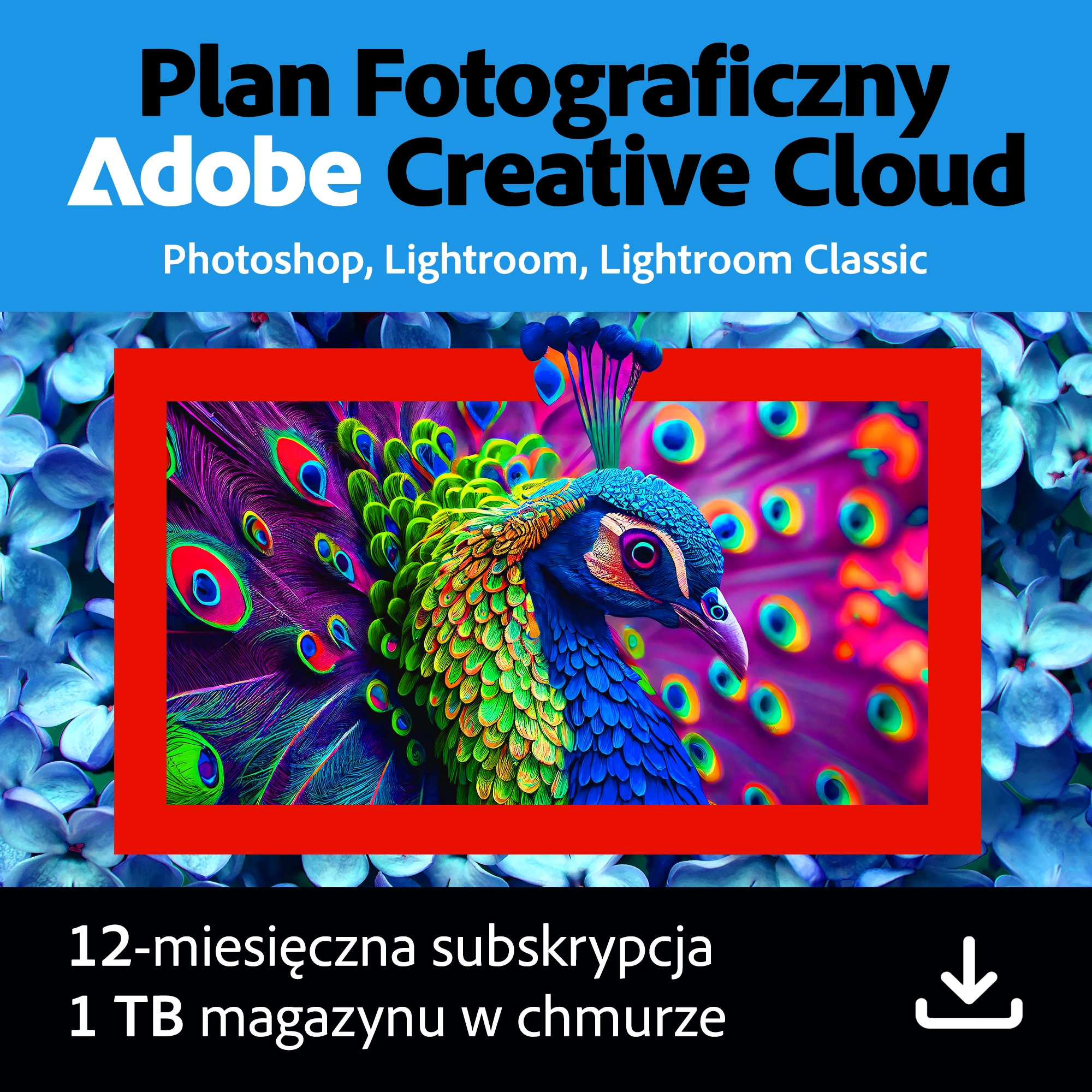 Program Adobe Creative Cloud Photography Plan 1 Rok Kod aktywacyjny
