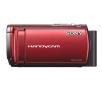 Sony DCR-SX33ER