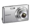 Sony Cyber-shot DSC-W620 (srebrny)