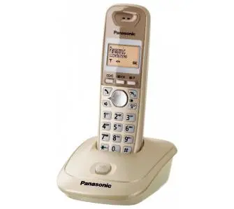 Telefon Panasonic KX-TG2511PDJ