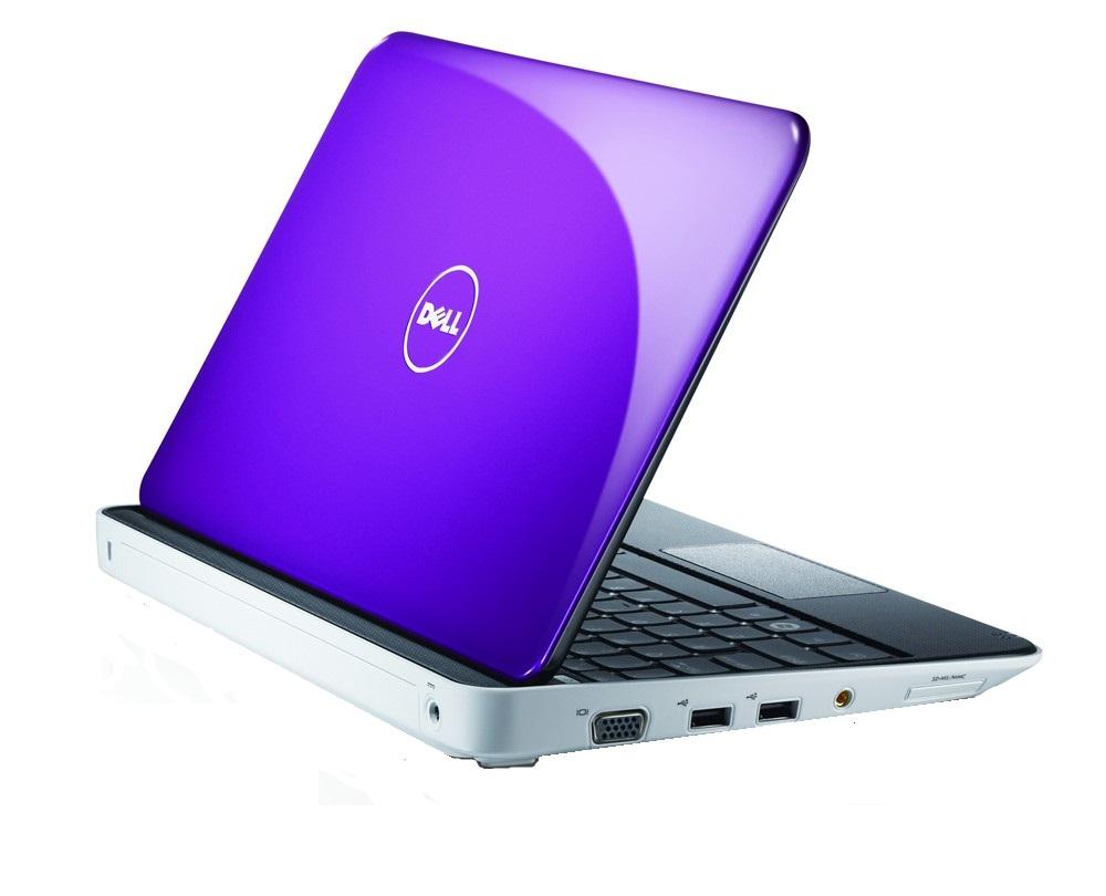Dell Mini 1012 10,1" Intel® Atom™ N450 1GB RAM  250G Win7S