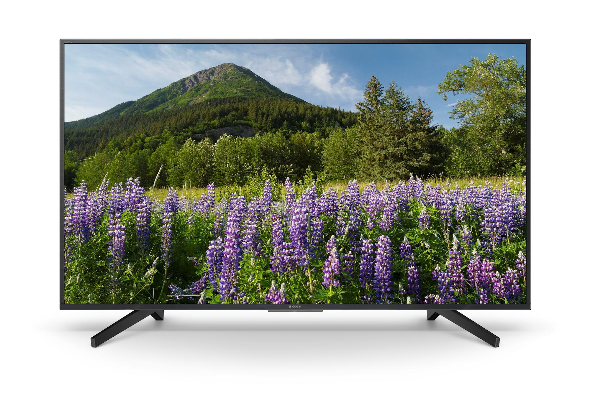 sony BRAVIA 49型 Telewizor Sony KD-49XF7005 - Opinie, Cena - RTV EURO AGD