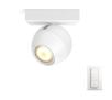 Oświetlenie punktowe Philips Hue White Ambiance Buckram (biały) + regulator przyciemniania