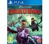 Dragons Dawn of New Riders PS4 / PS5