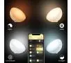 Lampa biurkowa Philips Hue Go White and Colour Ambiance