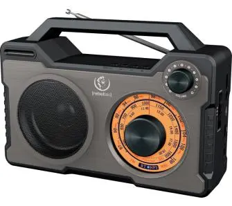 Głośnik Bluetooth Rebeltec RODOS 10W Radio FM Czarno-srebrny