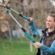Przycinanie drzew owocowych – kiedy, jak i czym przycinać?