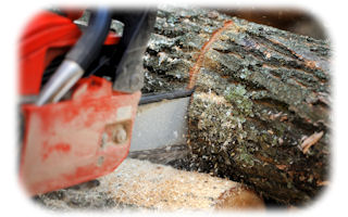 Pracuj efektywniej z mocnym silnikiem