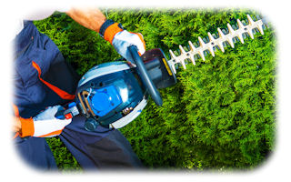 Pracuj efektywniej z mocnym silnikiem