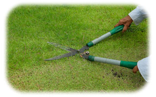 Przycinaj krawędzie trawników