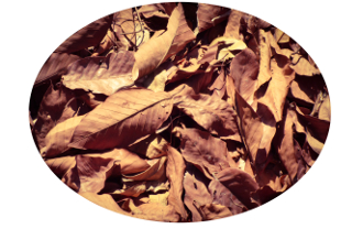 Zwiększ wydajność