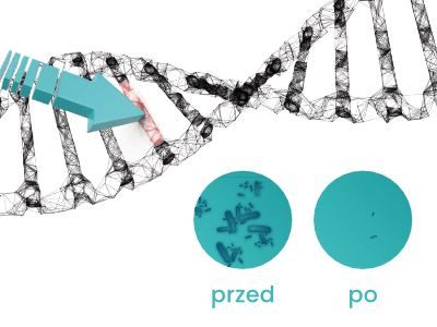 dna
