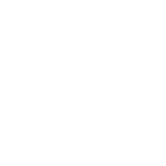ikona standard 2.1