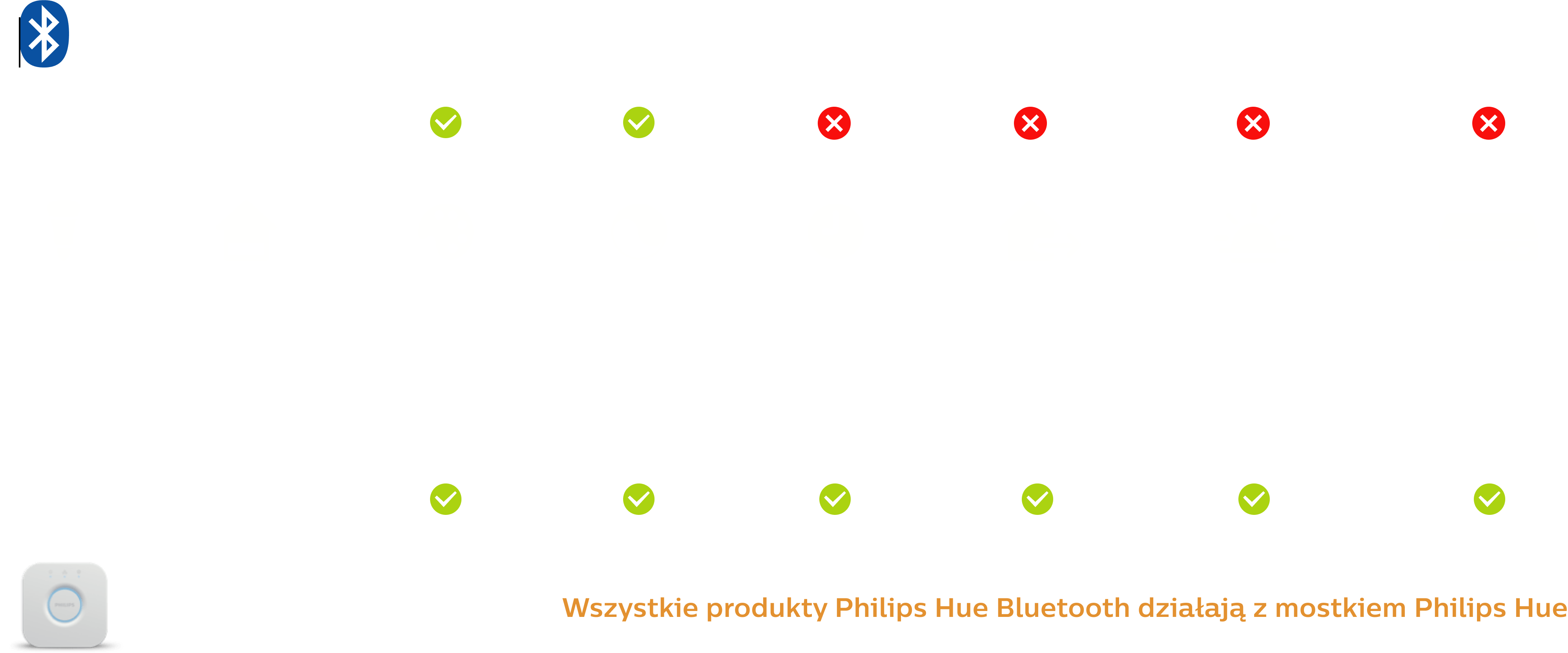 Opis szczegółowy