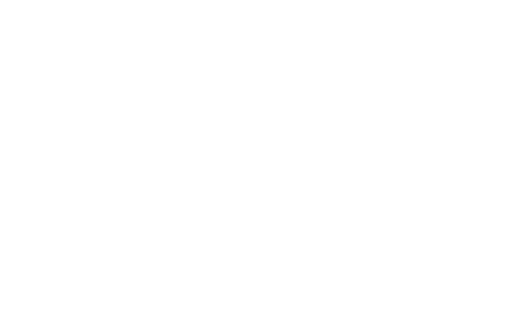 Логотип компанії Amica
