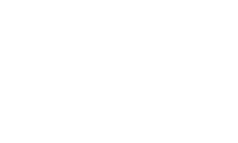 логотип amica