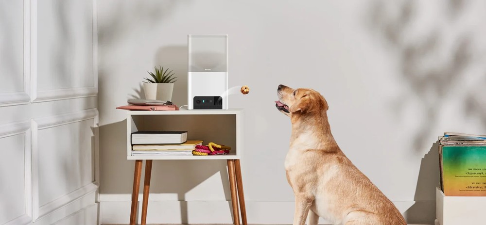 PETCUBE BITES 2 LITE INTERACTIVE WIFI PET MONITORING CAMERA
