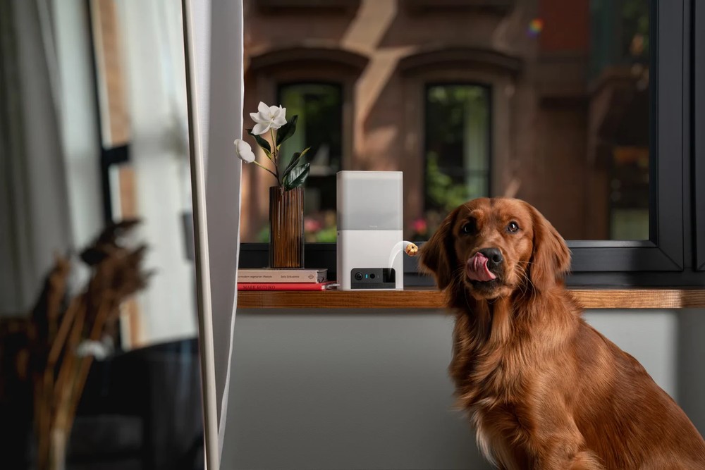 PETCUBE BITES 2 LITE INTERACTIVE WIFI PET MONITORING CAMERA