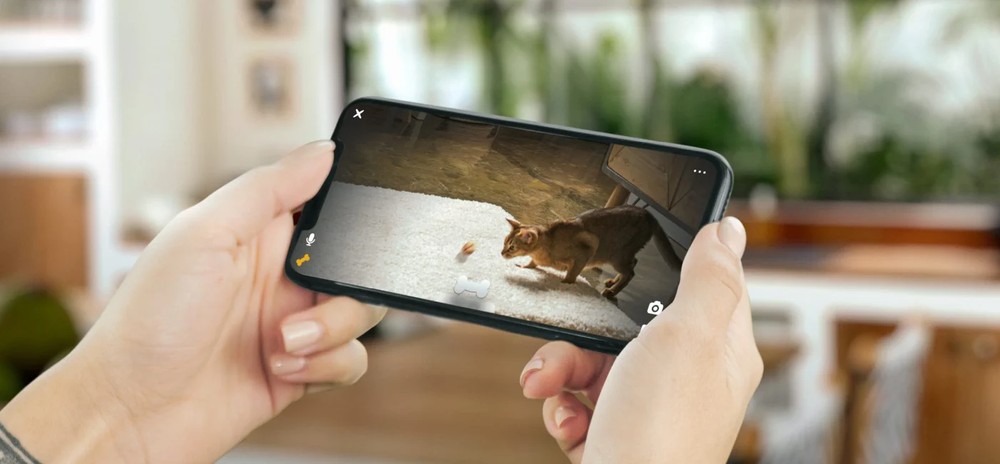 PETCUBE BITES 2 LITE INTERACTIVE WIFI PET MONITORING CAMERA