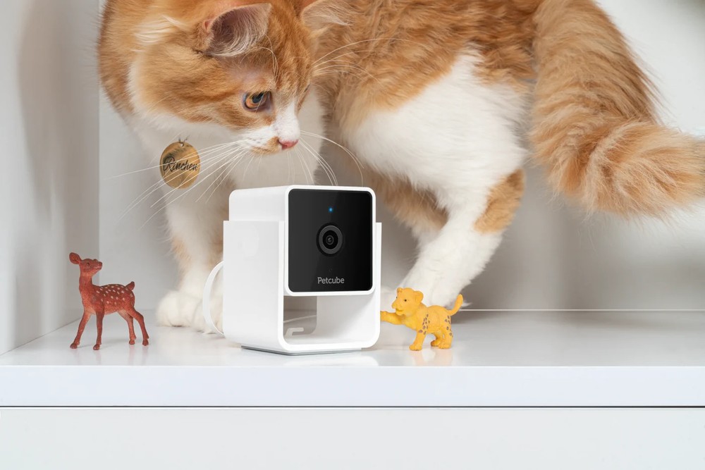 PETCUBE CAM INDOOR WI-FI PET AND SECURITY CAMERA