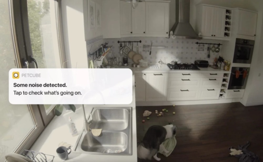 PETCUBE CAM INDOOR WI-FI PET AND SECURITY CAMERA