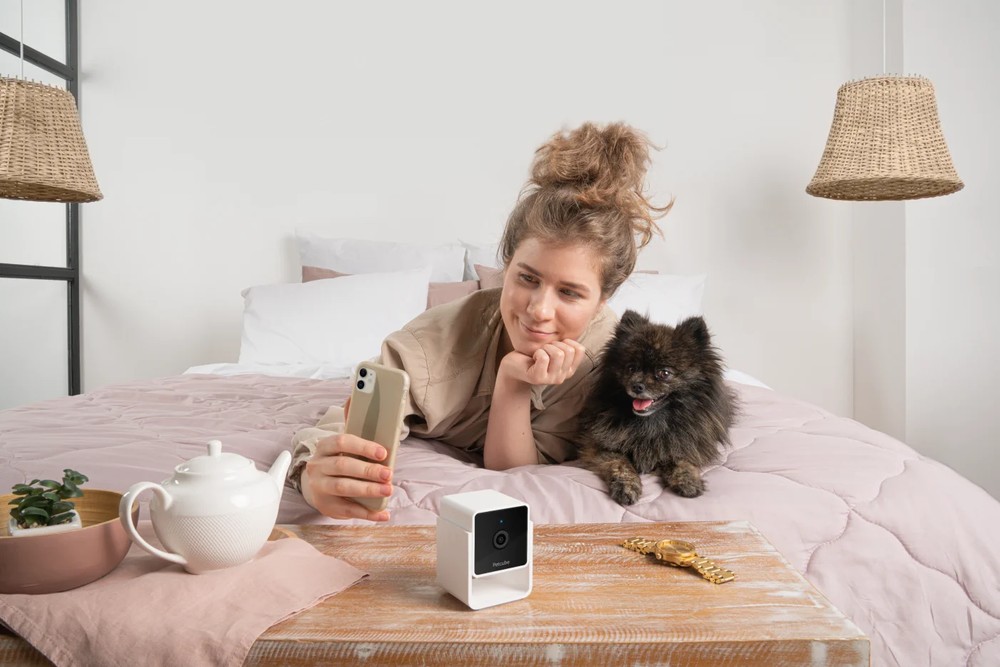 PETCUBE CAM INDOOR WI-FI PET AND SECURITY CAMERA