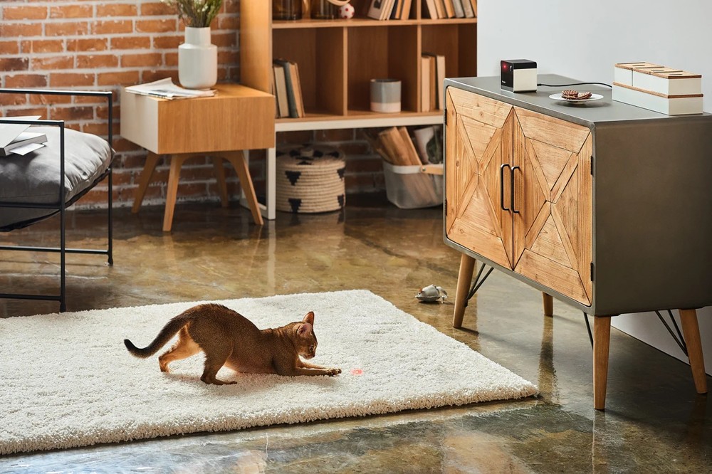 PETCUBE PLAY 2 WI-FI PET CAMERA WITH LASER TOY FOR CATS & DOGS