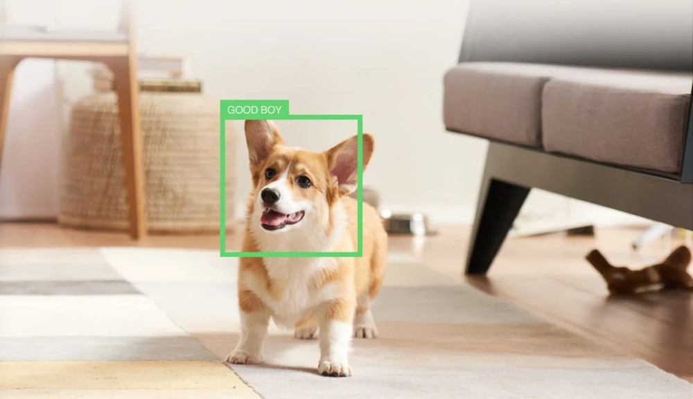 PETCUBE PLAY 2 WI-FI PET CAMERA WITH LASER TOY FOR CATS & DOGS