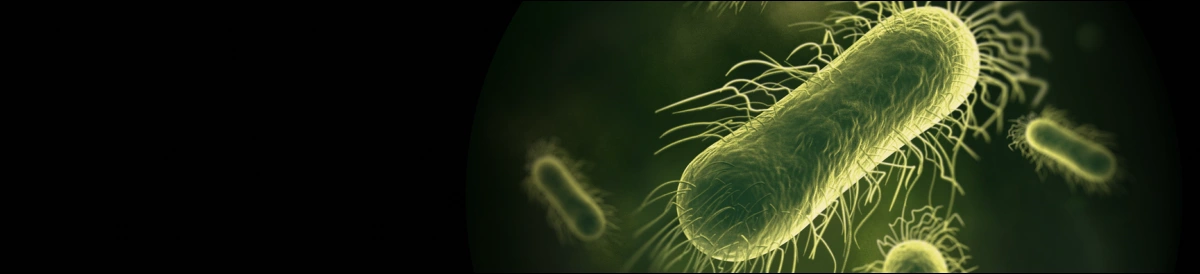 Крупний план бактерії