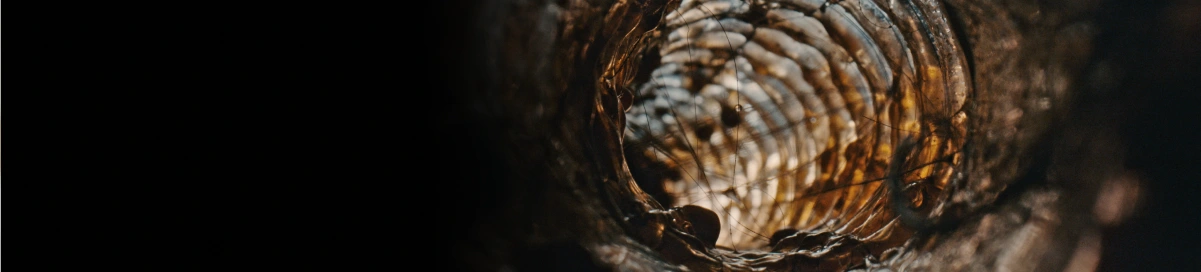 Внутрішня частина пристрою покрита брудним осадом, залишками води та волоссям