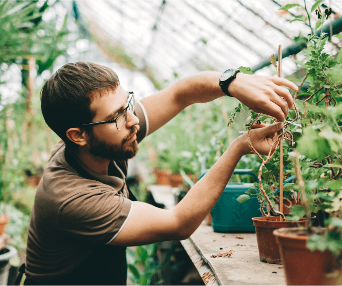 Багатофункціональний пристрій HP PRINT LASERJET PRO 3100