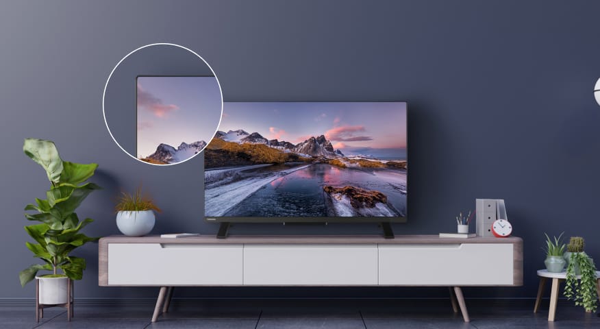 TOSHIBA 65QV2463DG