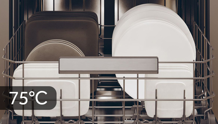 Інтенсивна програма 75°C