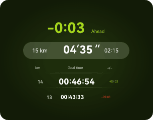 Екран програми, що відображає числові параметри відстані та часу