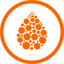 ikona