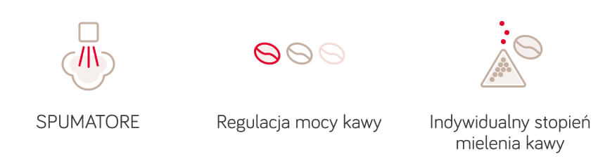 cechy ikony
