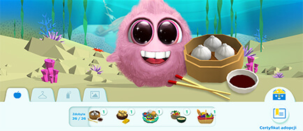 image-card-2