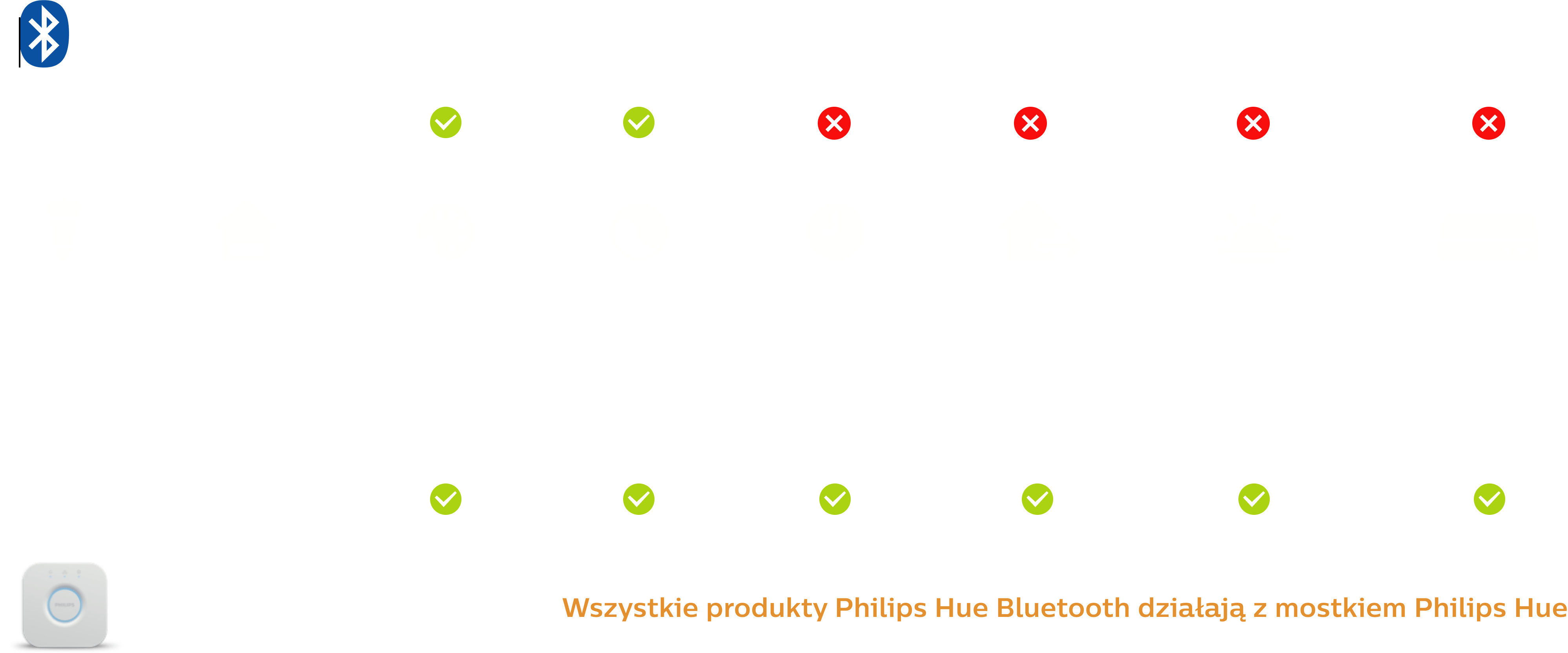 Opis szczegółowy