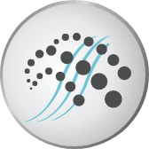 Ikona