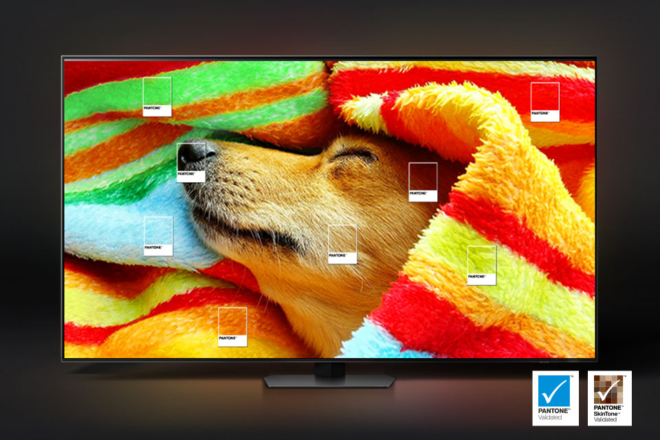 A Samsung OLED S95C által megjelenített színek Pantone minősítésűek.